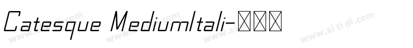 Catesque MediumItali字体转换 Catesque MediumItali字体转换